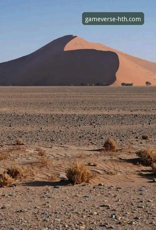 沙漠天堂前的空中困局：印第安维尔斯大师赛遭遇开赛前最大变数